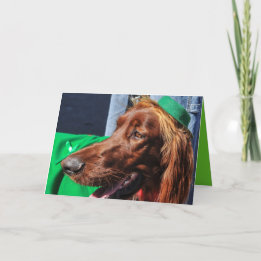 CARTÃO DE FESTIVIDADES IRISH SETTER WEARING GREEN ST.PATRICK'S DAY