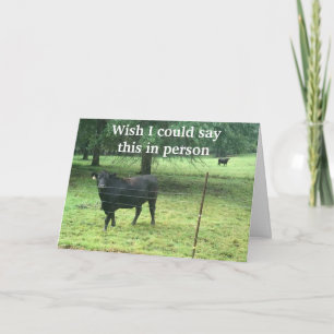 CARTÃO DE FESTIVIDADES IRMÃO, NÃO POSSO SAIR PARA DIZER "ANIVERSÁRIO FELI