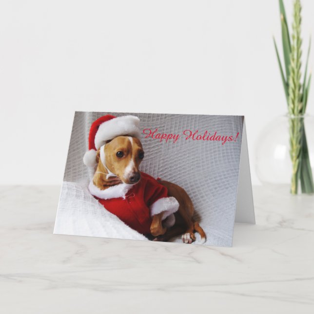 Cartão De Festividades Italian Greyhound Holiday Greeting Card (Frente)