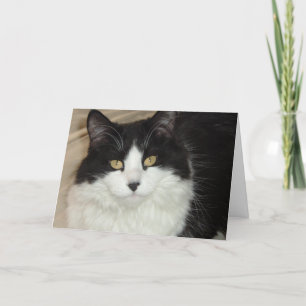 Cartão De Festividades It's About Time You Got Home/Valentine Humor