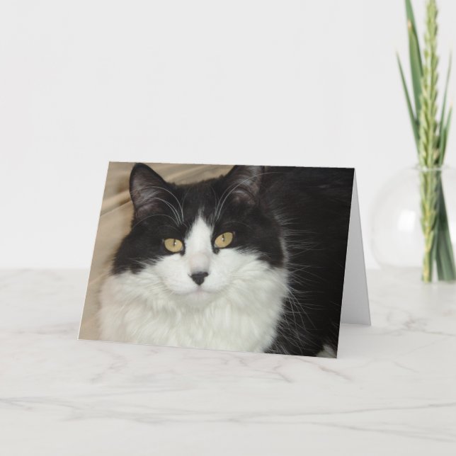 Cartão De Festividades It's About Time You Got Home/Valentine Humor (Frente)