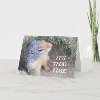 Cartão De Festividades It's that Time Happy Groundhog's day card