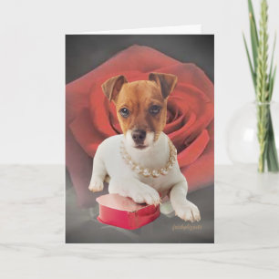 Cartão De Festividades Jack Russell against rose