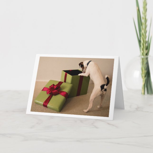 Cartão De Festividades Jack Russell Terrier Christmas Card (Frente)