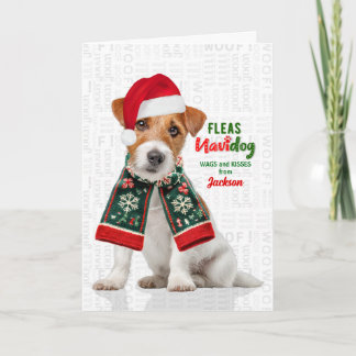 Cartão De Festividades Jack Russell Terrier Fofinho Pulgas Navidog com No