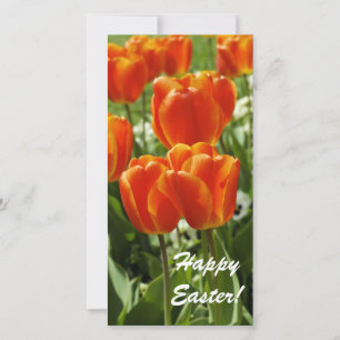 Cartão De Festividades Jardim de Tulipas da Primavera