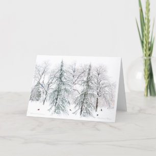 Cartão De Festividades Jardim Público de Boston: Prazeres Simples da Est