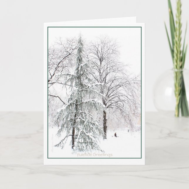 Cartão De Festividades Jardim Público de Boston: Yuletide Feriado (Frente)