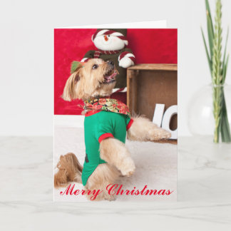 Cartão De Festividades Joey Anxious for Christmas (2015)