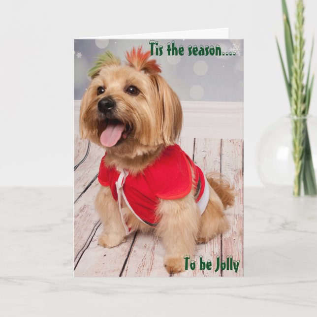 Cartão De Festividades Joey experiences the beauty of Christmas (Frente)