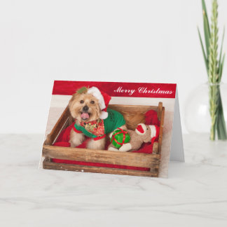 Cartão De Festividades Joey wishes Everyone a Merry Christmas