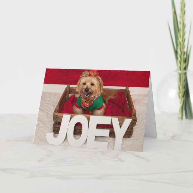 Cartão De Festividades Joey's Favourate Time of Year (Frente)