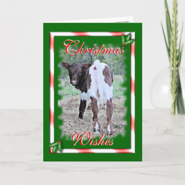 Cartão De Festividades JoleeChristmas-customize (Frente)