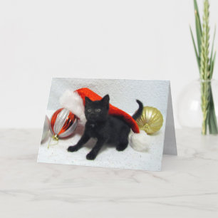 Cartão De Festividades Joon's Christmas- Cat / Kitten - Folded Card