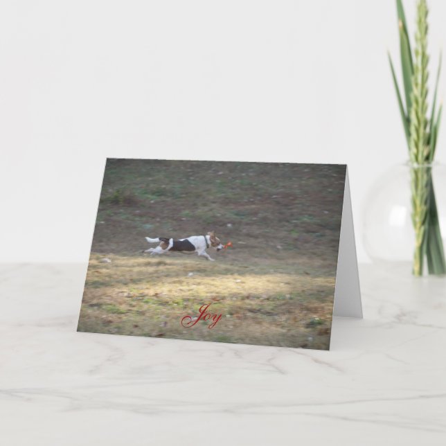 Cartão De Festividades Joy - 2012 (Frente)