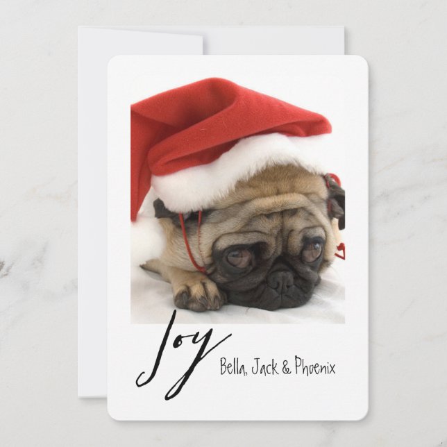Cartão De Festividades Joy Modern Pet Holiday Card (Frente)