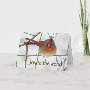 Cartão De Festividades Joy to the Wordl Cardinal Christmas Card