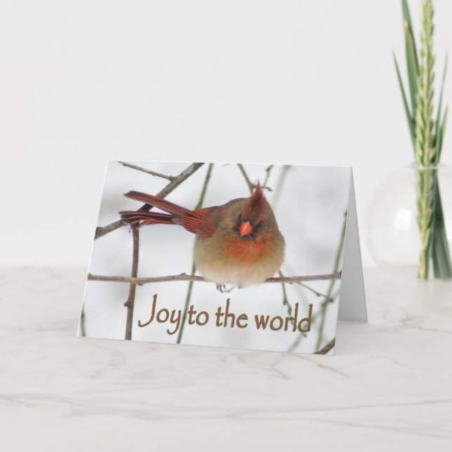 Cartão De Festividades Joy to the Wordl Cardinal Christmas Card (Frente)