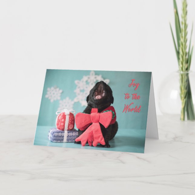 Cartão De Festividades Joy to the world Christmas puppy card (Frente)