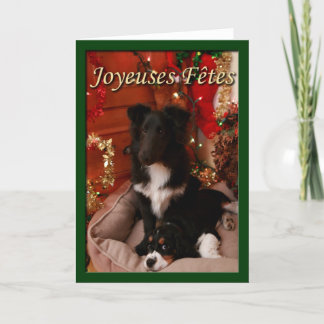 Cartão De Festividades Joyeuses Fetes