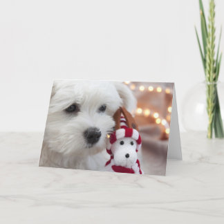 Cartão De Festividades Joyeux Noël!