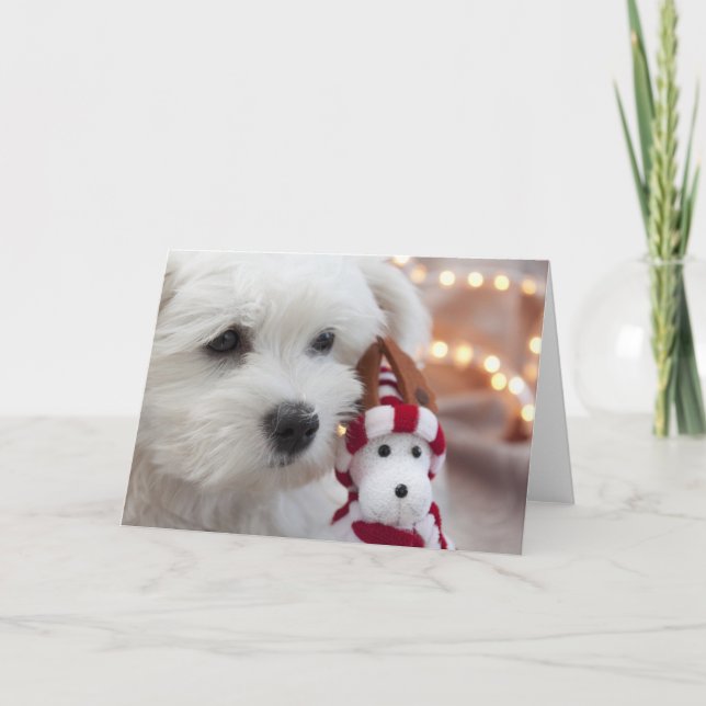 Cartão De Festividades Joyeux Noël! (Frente)