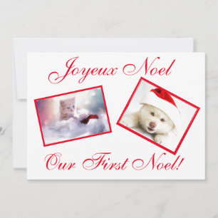 Cartão De Festividades Joyeux Noel Best Friends Pets First Noel Card