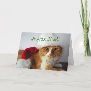 Cartão De Festividades Joyeux Noël - Gato Vestindo Santa Hat
