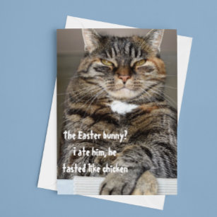 Cartão De Festividades Judgmental Cat Ate Páscoa Cony Humor Engraçado