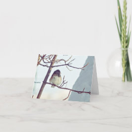 Cartão De Festividades Junco in Montana Winter - 4" x 5.6" Notecard