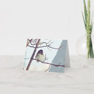 Cartão De Festividades Junco in Montana Winter - 4" x 5.6" Notecard