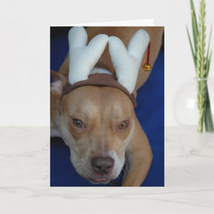 Cartão De Festividades Junebug a Nona Reindeer