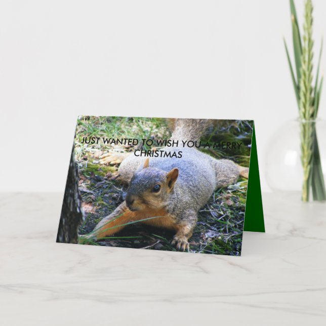 CARTÃO DE FESTIVIDADES JUST WANTED TO WISH YOU A MERRY CHRIS... (Frente)