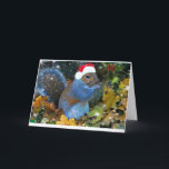 Cartão De Festividades Keeping The Spirit<br><div class="desc">There are many many squirrel in backyards across America,  take the time to watch them and you will be delighted with their attics</div>