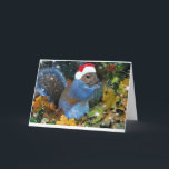 Cartão De Festividades Keeping The Spirit<br><div class="desc">There are many many squirrel in backyards across America,  take the time to watch them and you will be delighted with their attics</div>