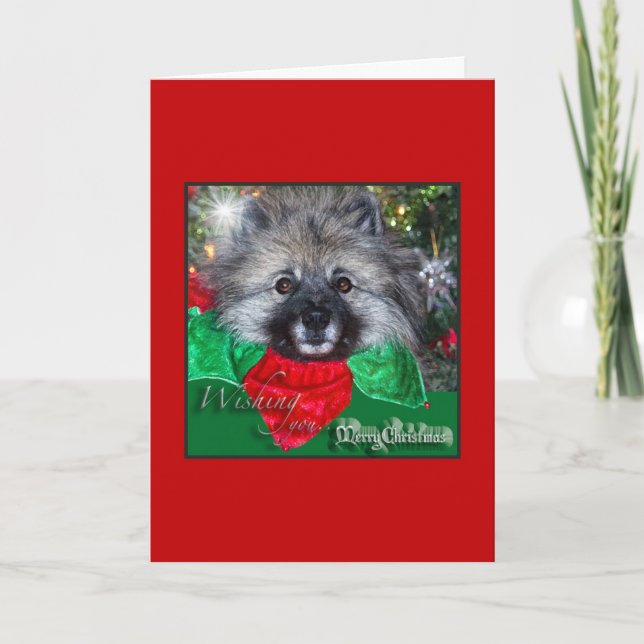 Cartão De Festividades Keeshond Christmas card (Frente)