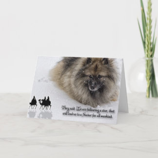 Cartão De Festividades Keeshond Christmas card "Three Wise Men"
