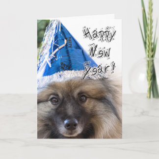 Cartão De Festividades Keeshond New Year greeting card