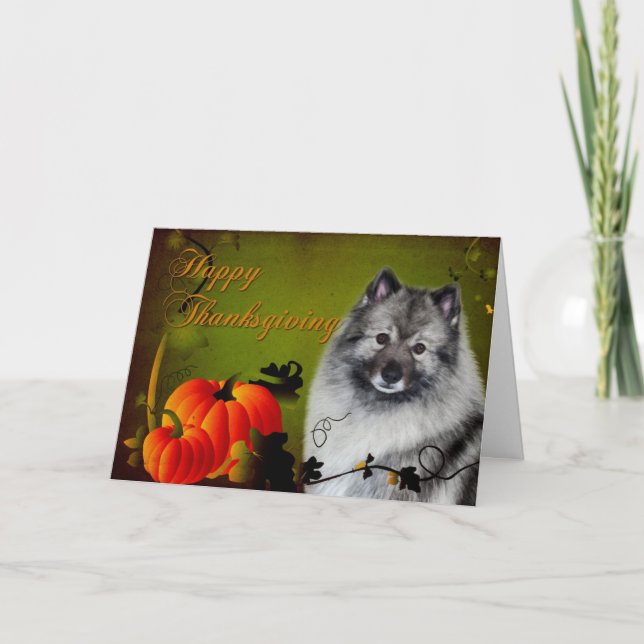 Cartão De Festividades Keeshond Thanksgiving Card (Frente)