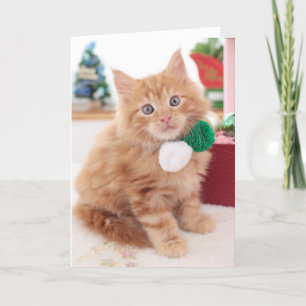 Cartão De Festividades Kitten