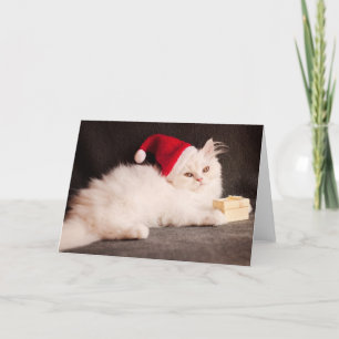 Cartão De Festividades Kitten as Santa