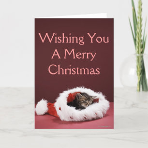 Cartão De Festividades Kitten asleep in Christmas hat