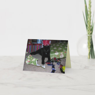 Cartão De Festividades Kitten Christmas