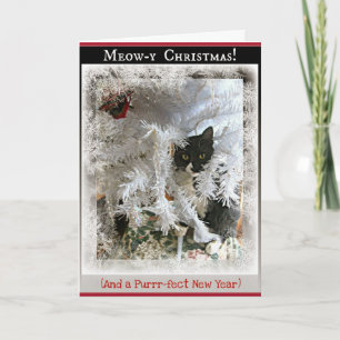 Cartão De Festividades Kitten de Natal saudações da Dentro