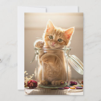 Cartão De Festividades Kitten Em Um Jar