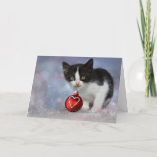 Cartão De Festividades Kitten Ornament de Natal
