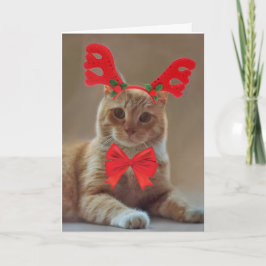 Cartão De Festividades Kitty Cat Reindeer Natal