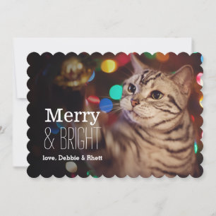 Cartão De Festividades Kitty helping with the Christmas tree