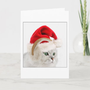 Cartão De Festividades Kitty in Santa hat and ear muffs