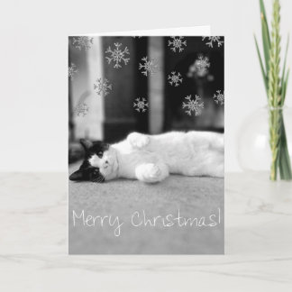 Cartão De Festividades Kitty Merry Christmas Card